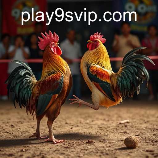 Exploring the World of Online Sabong through 9S.APP